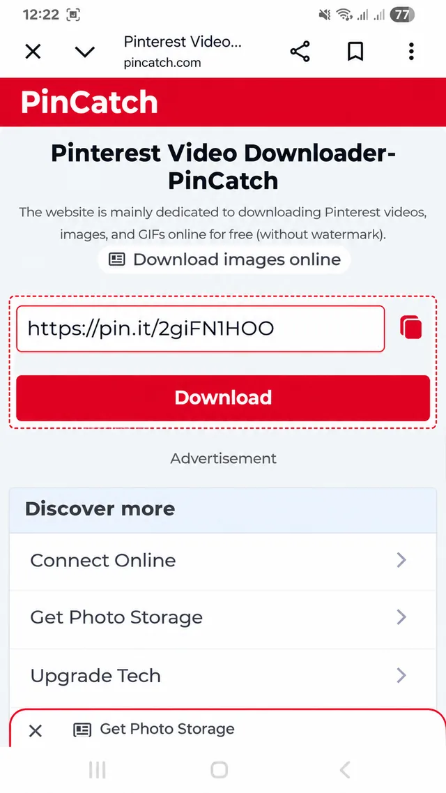 Interface du téléchargeur vidéo Pinterest PinCatch avec champ de saisie du lien et bouton de téléchargement